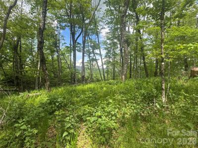 1026 Wolfs Head Court