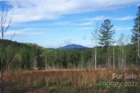 Tract 3 County Line Road