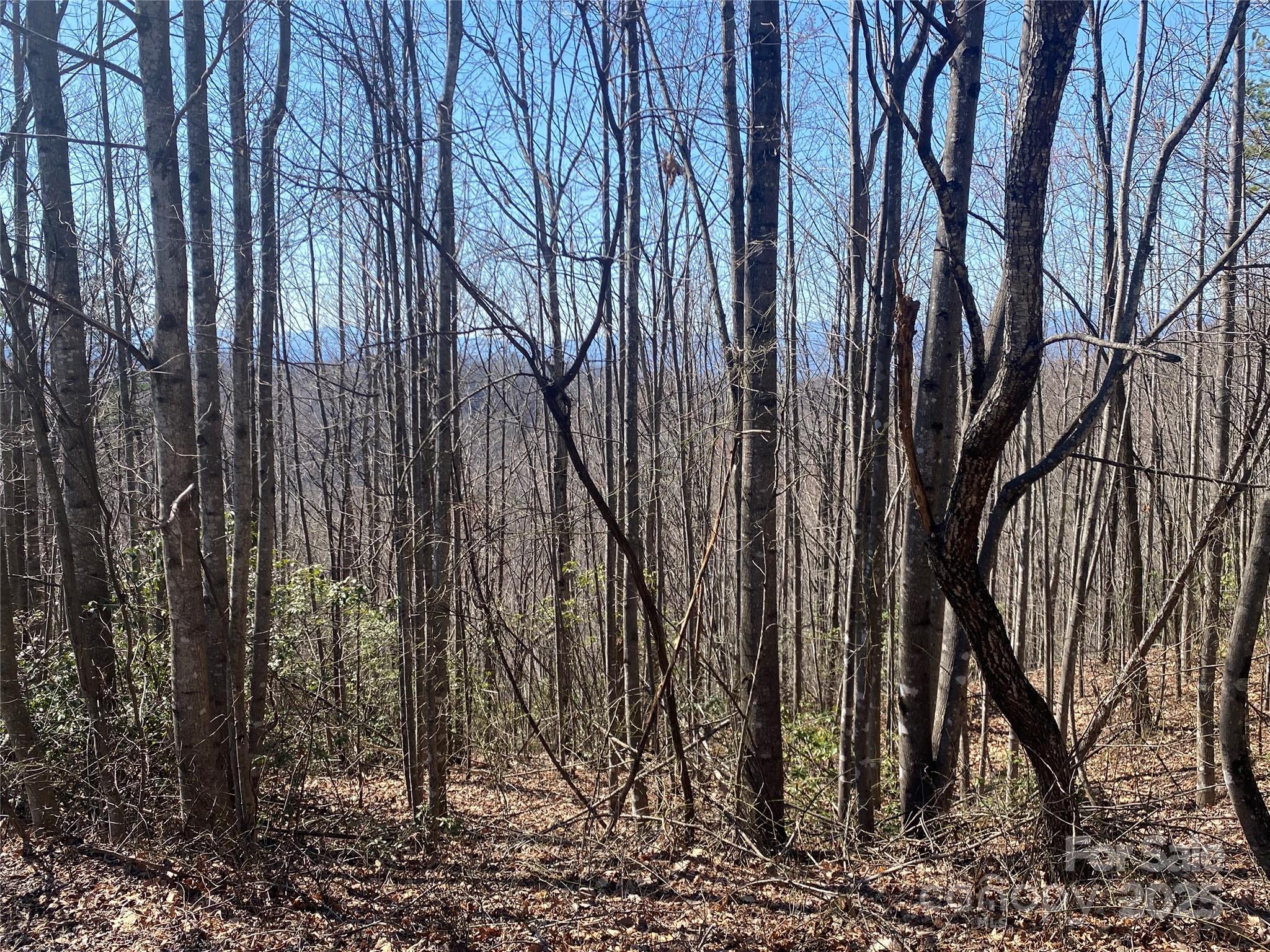 Image 1 Image 1