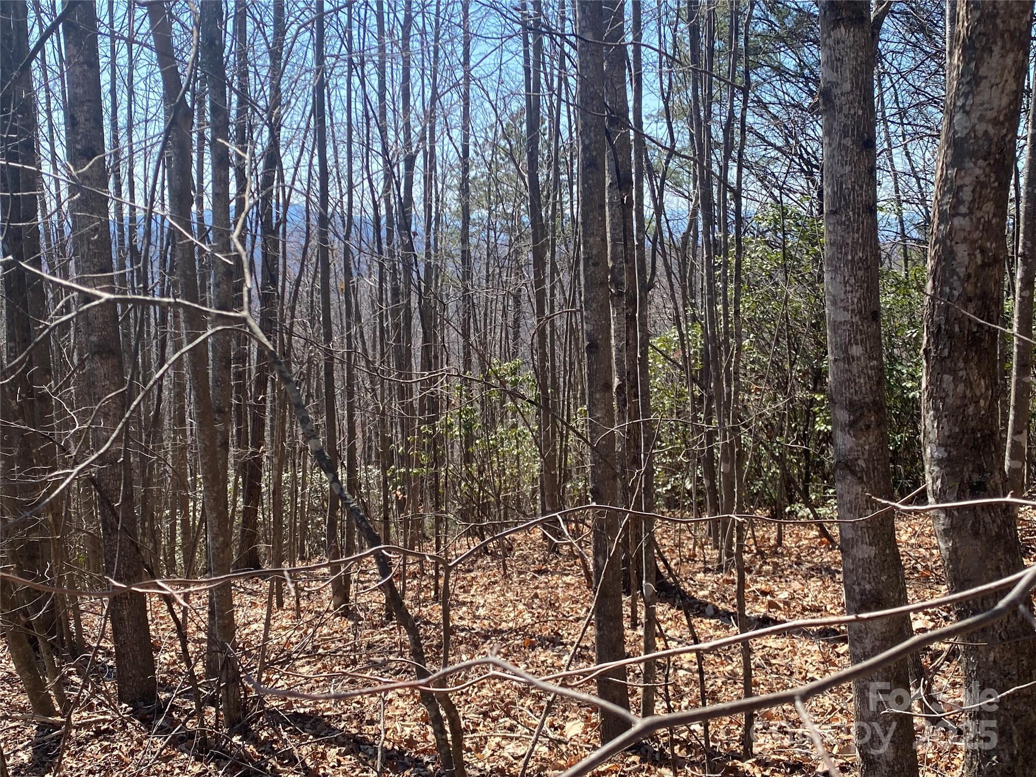 Image 4 Image 4