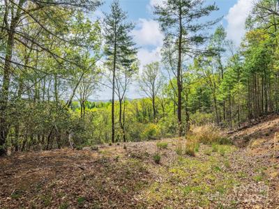 Lot #56 Winterberry Drive