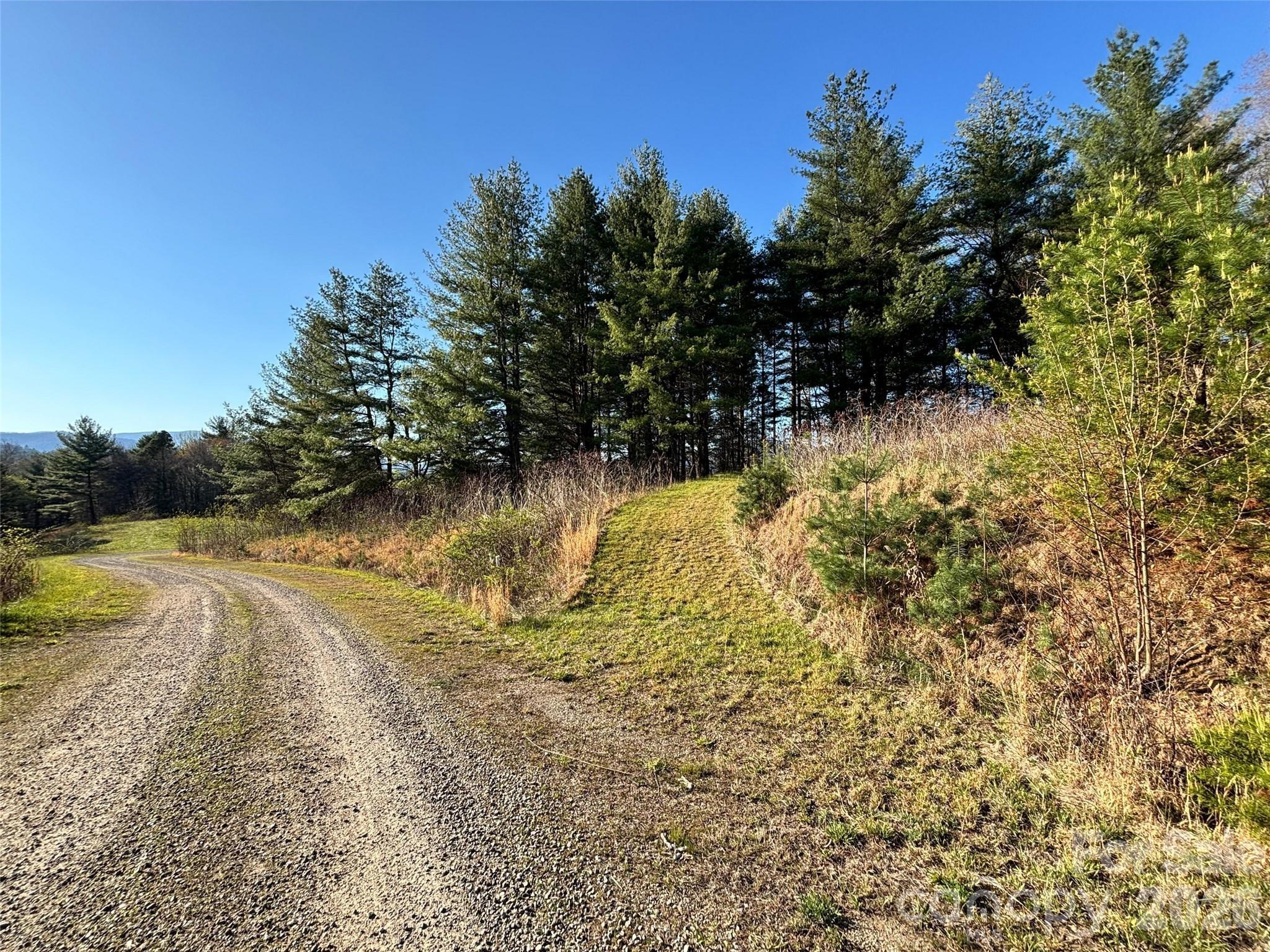 Image 4 Image 4