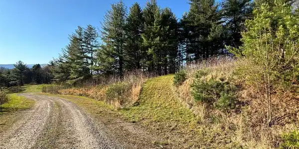 Image 4 Image 4