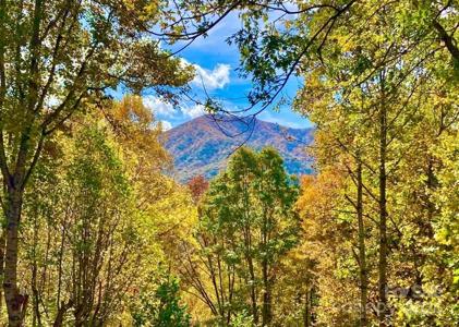 129 Deer Creek Trail