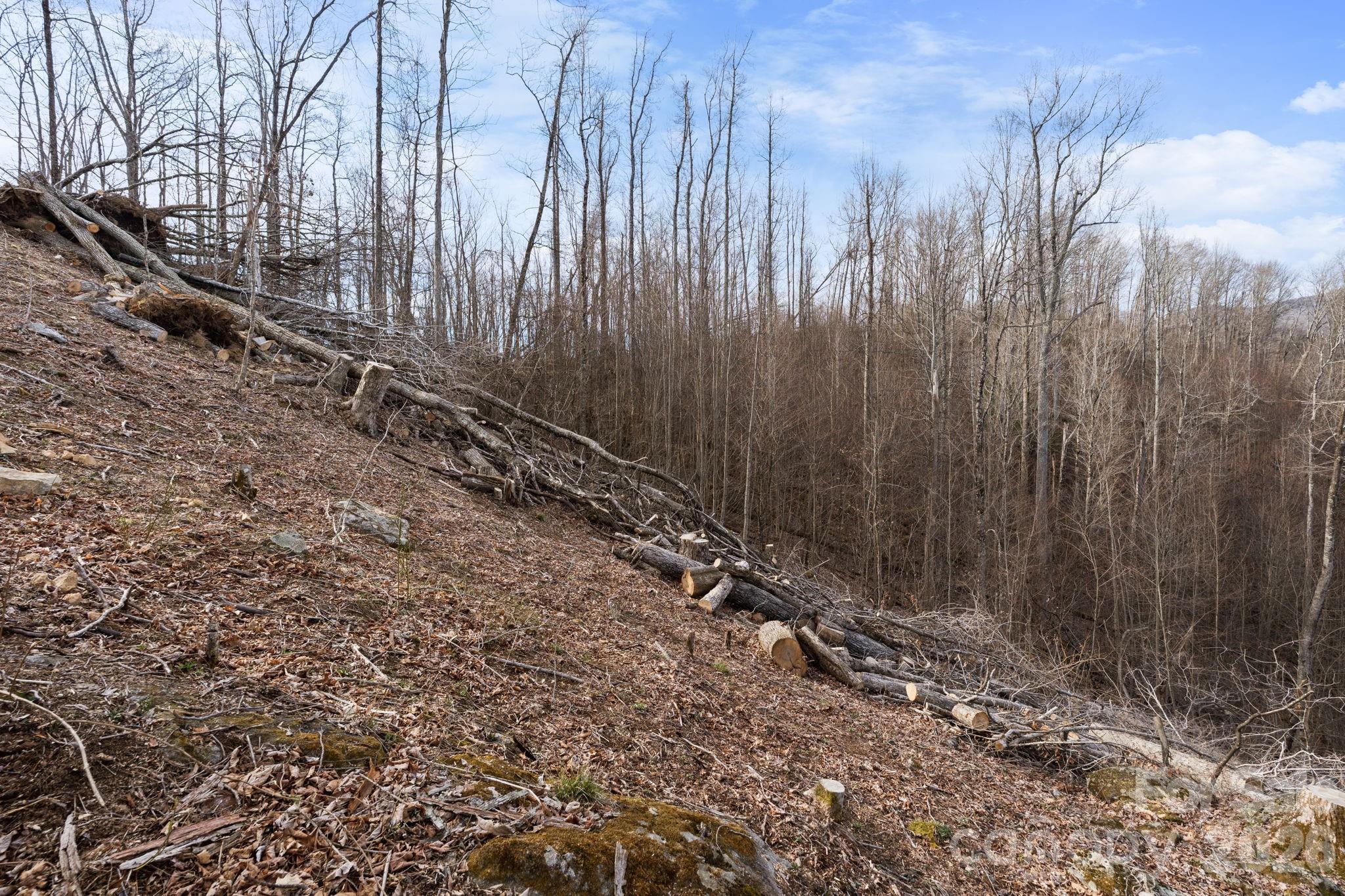 Image 4 Image 4