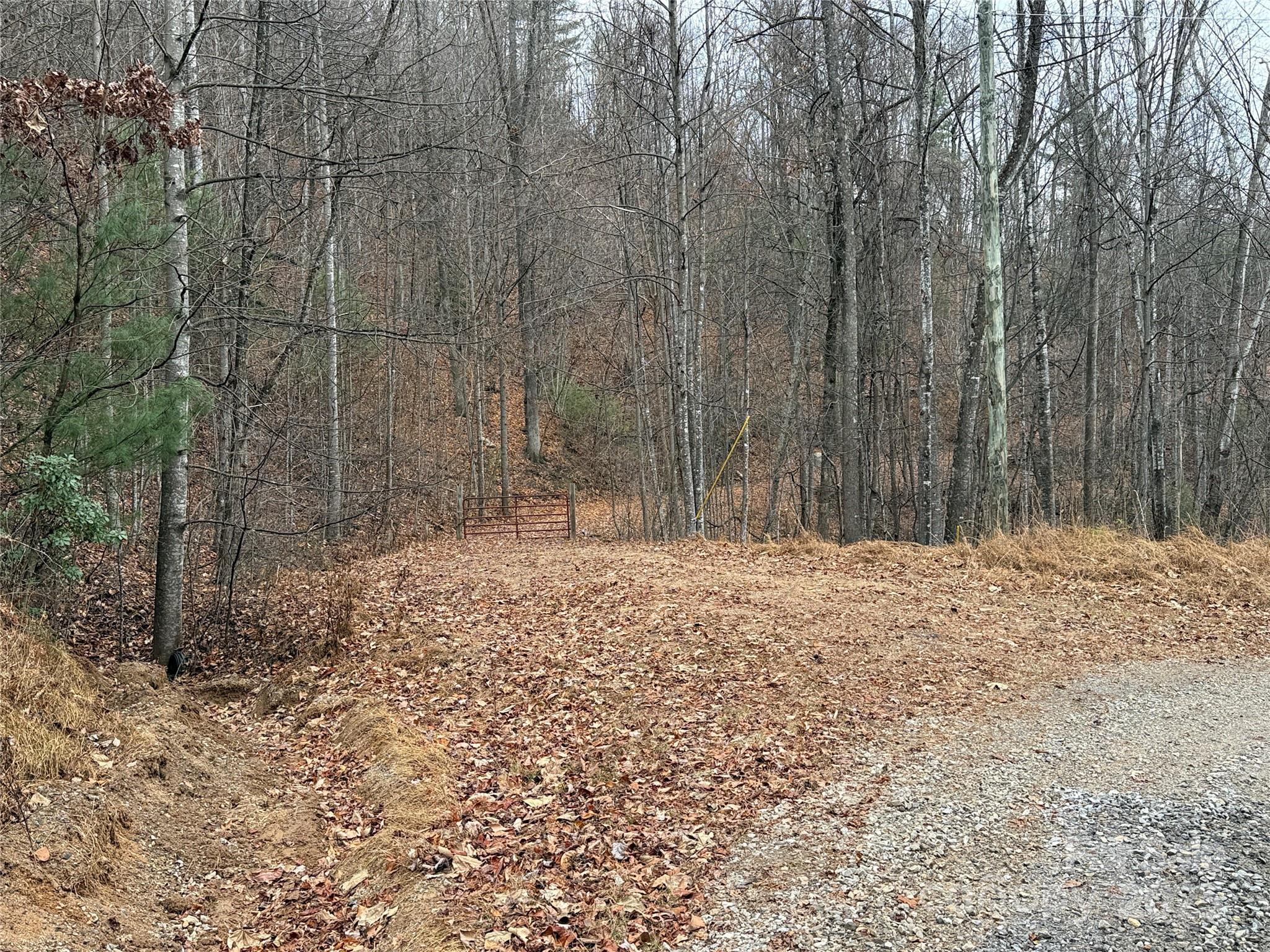Image 4 Image 4
