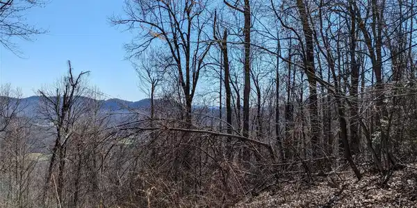 Image 3 Image 3