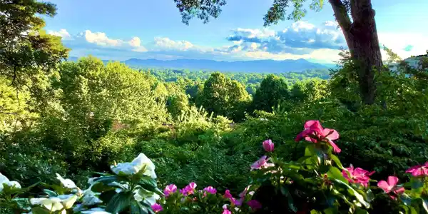 305 Piney Mountain Drive