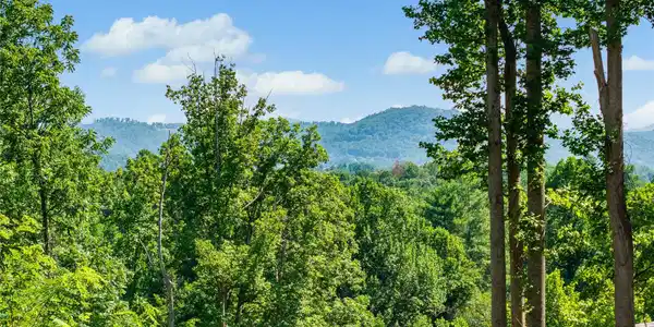 51 Wind Stone Drive