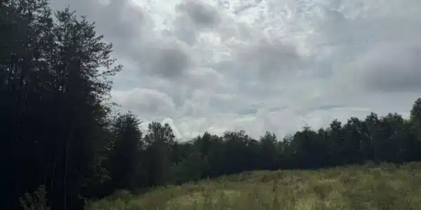Image 4 Image 4
