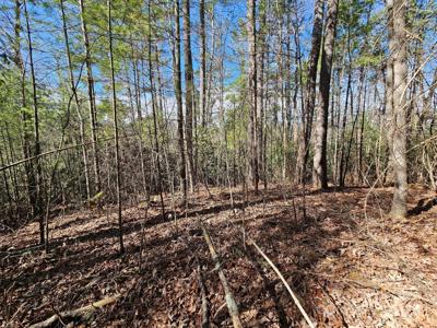 00 Chenoa Ridge