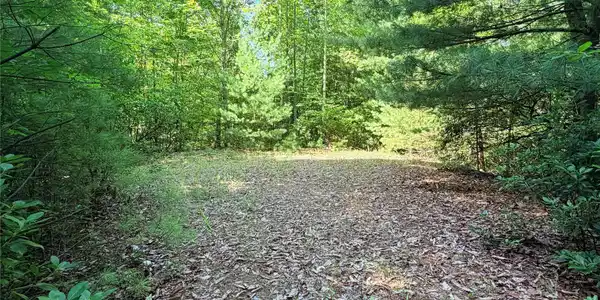 Image 2 Image 2