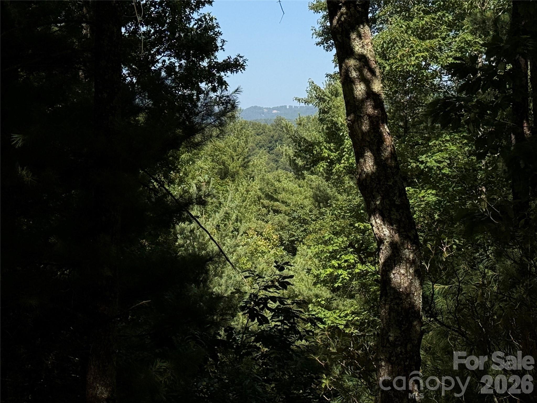 Image 4 Image 4