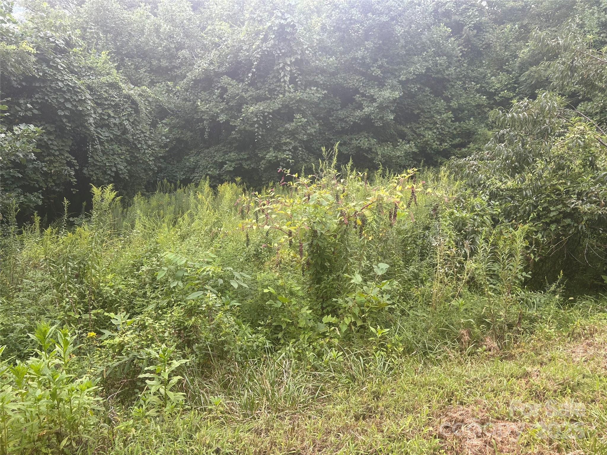 Image 3 Image 3