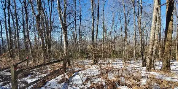 Image 3 Image 3