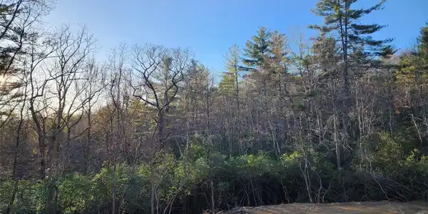 000 Bulling Creek Road