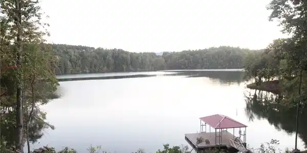 Image 4 Image 4