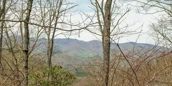 Image 3 Image 3