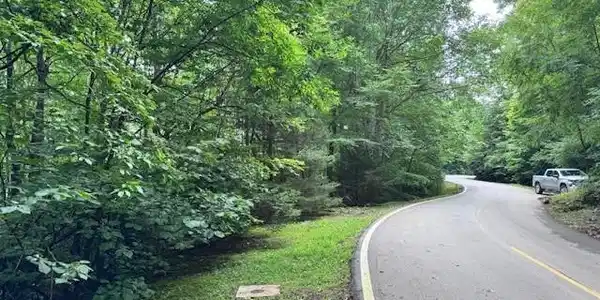 29 Wood Haven Lane