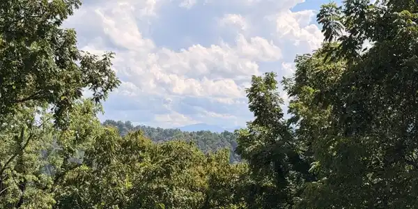 Image 3 Image 3