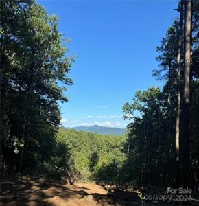 67 Dunn Trail