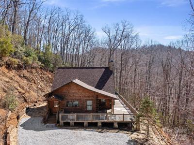 91 Golden Trout Drive
