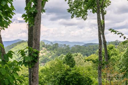 456 Spring House Drive