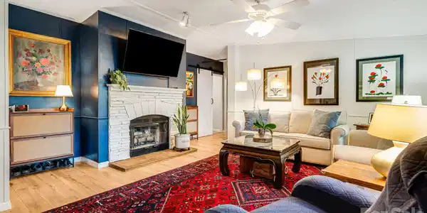 217 Sandy Creek Court