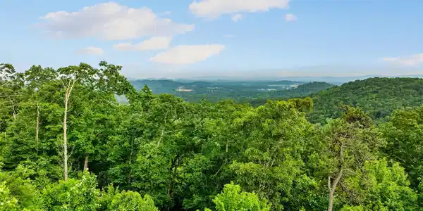 00 Locust Grove Road