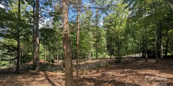 Image 3 Image 3