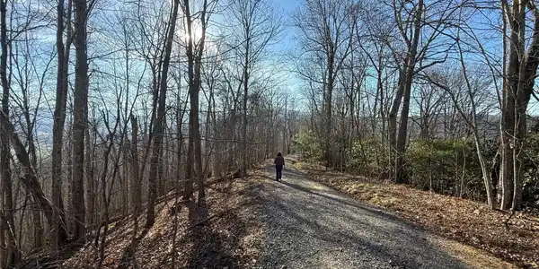 Lot 21 Brer Rabbit Trail