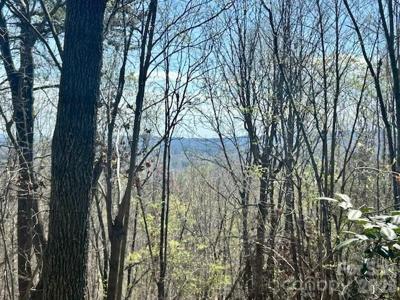 TBD Connelly Springs Road
