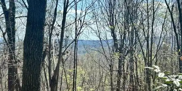 TBD Connelly Springs Road