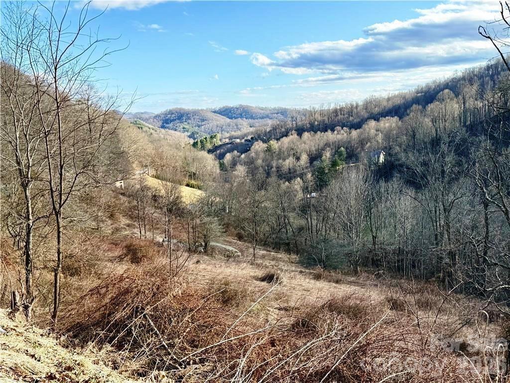 Image 1 Image 1