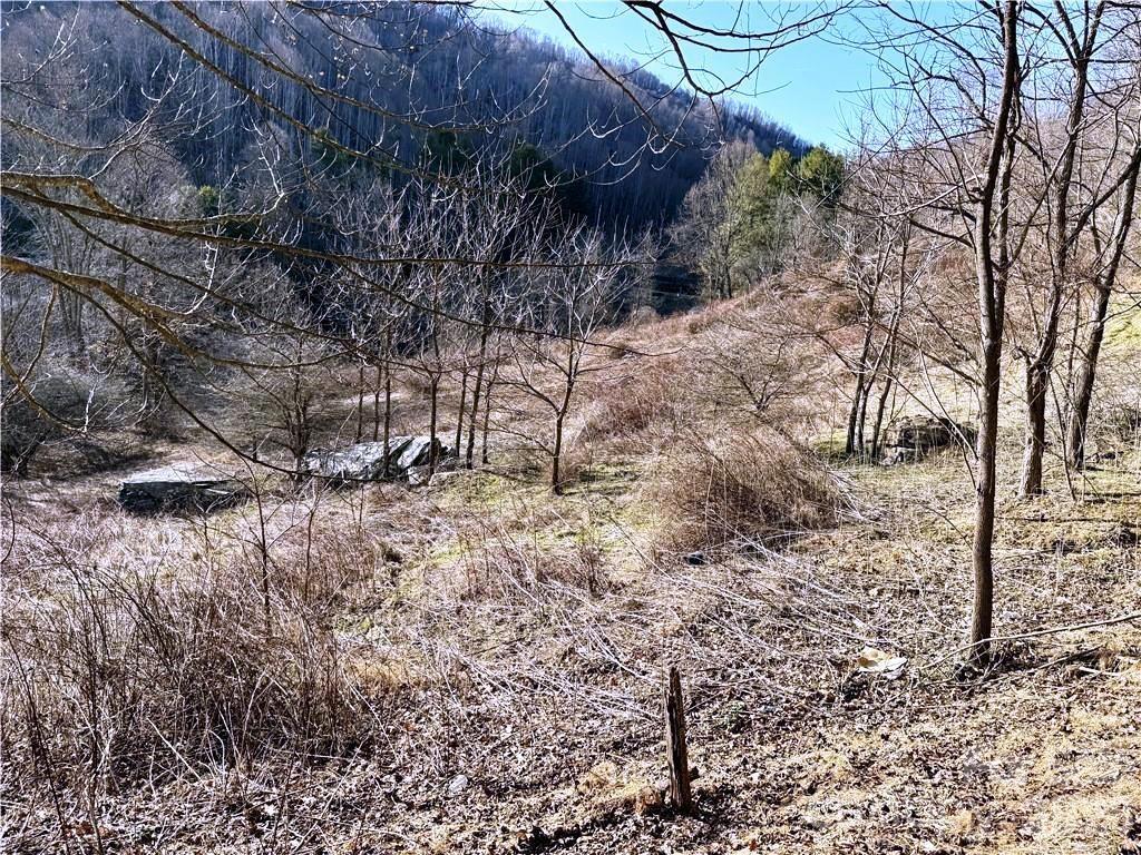 Image 3 Image 3