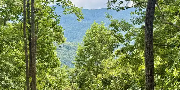 Image 4 Image 4