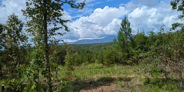 Lot #3 Price Summit Way