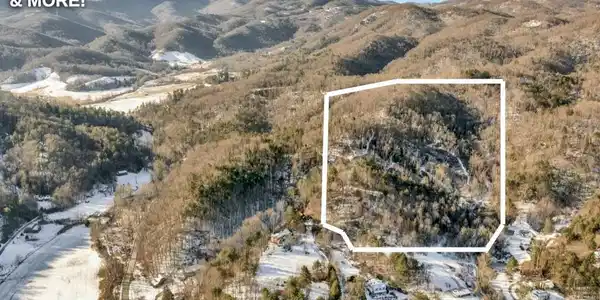 Image 4 Image 4