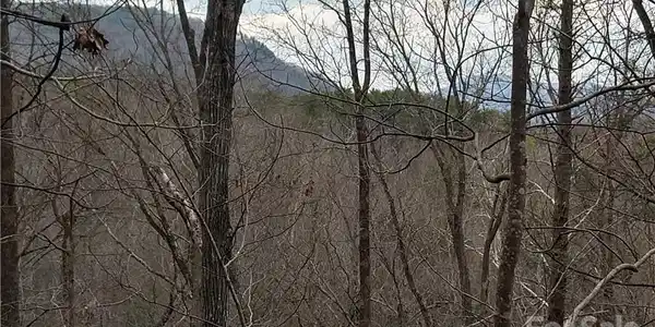 Lots 94 & 95 Rock Spring Road