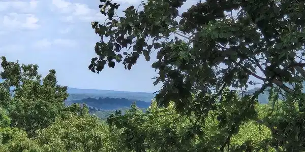 Lot 34 Hawks Nest Trail
