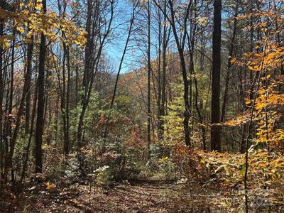 99999 Morgan Hill Road