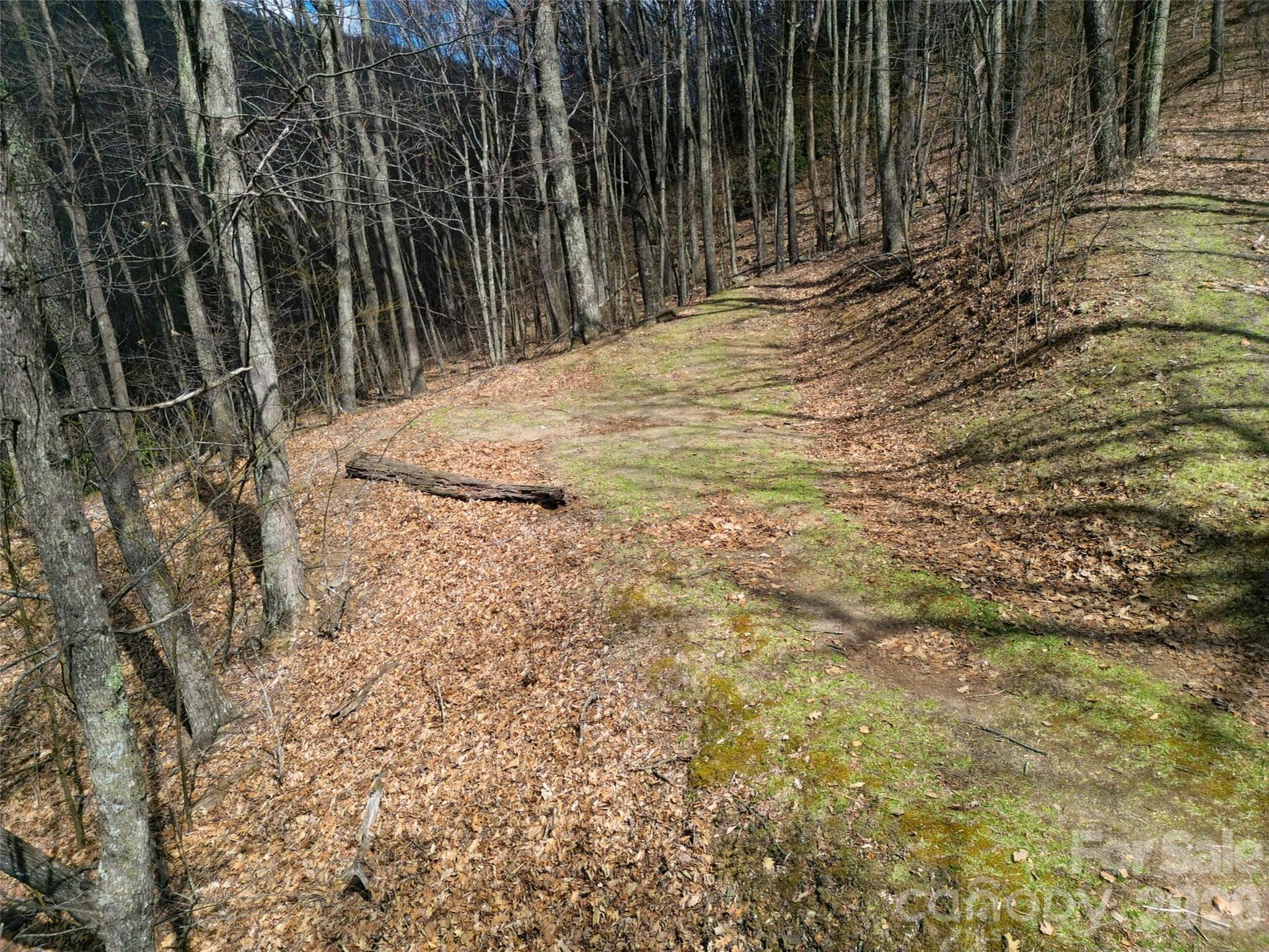 Image 3 Image 3