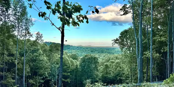 4.77 acres, Lot 245 Johns Ridge Parkway