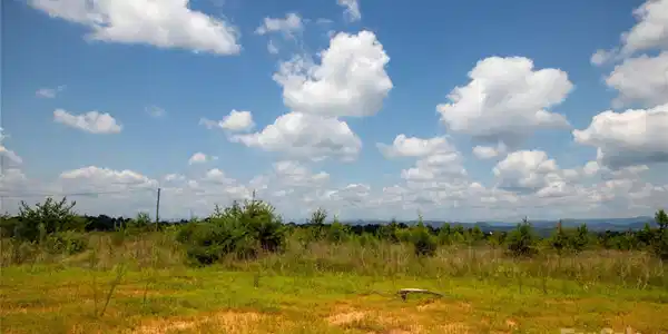 Image 3 Image 3