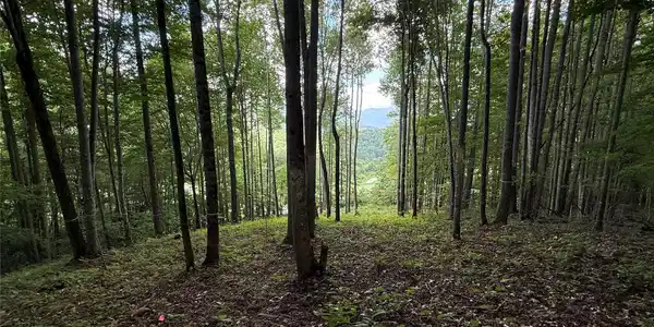 Image 2 Image 2