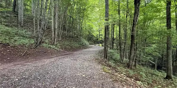 Image 3 Image 3