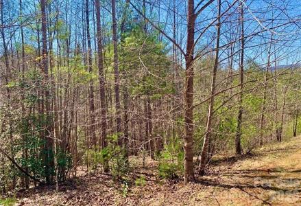 Lot 148 Rocky Falls Lane