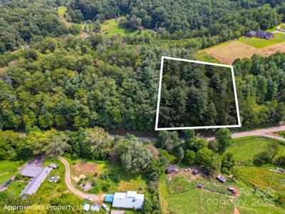 99999 Morgan Cove Road