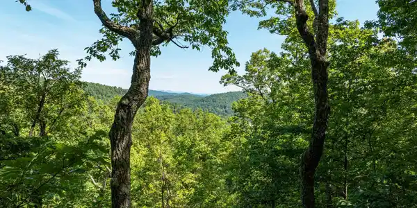 Lot 25 Panther Mountain Road