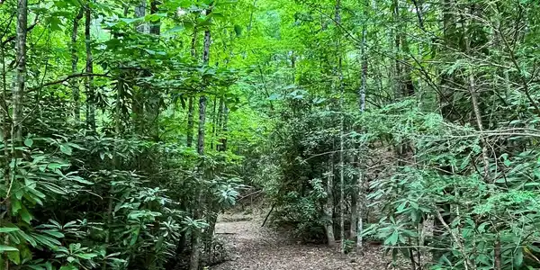 Image 4 Image 4